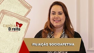 Explica Direito Filiação Socioafetiva  2019 [upl. by Relda796]