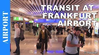 TRANSIT WALK AT FRANKFURT Airport FRA Terminal 1  Connection Flight Transfer Arriving amp Departing [upl. by Lorien51]